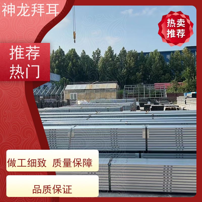 河北神龙拜耳 光伏支架冲孔机 多功能 供应