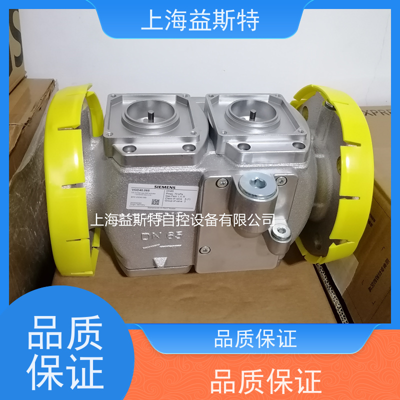 上海益斯特 VGD40.065 规格齐全适配多行业 可根据工况调整参数