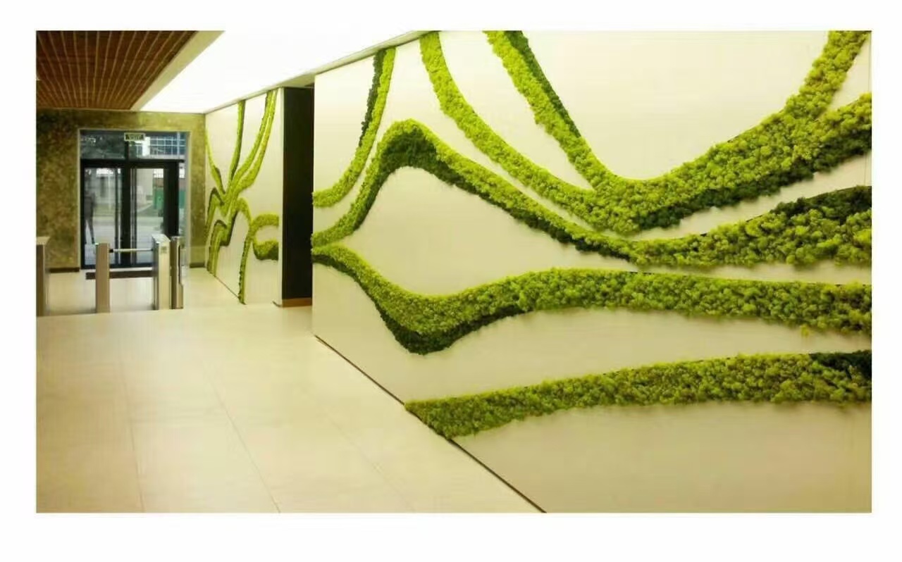 江苏 苔藓地毯  上门施工