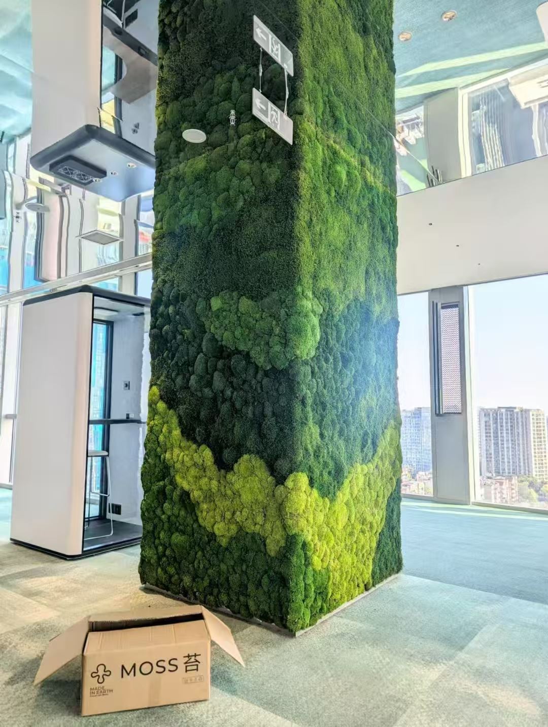 江苏 苔藓地毯  承接景观工程