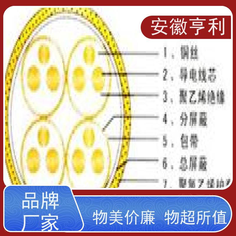 安徽亨利仪表电缆有限公司 严格检测 足米足方 24*1.5
