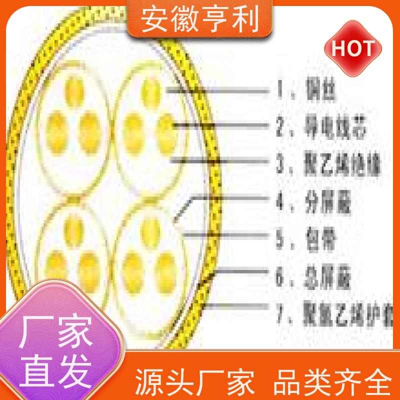 安徽亨利仪表电缆有限公司 严格检测 屏蔽控制电缆 13*1.5