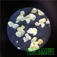 茶叶提取物喷雾干燥制粒机-低温塔-常州永昌制粒