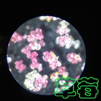 ��Ƥ��ԭ�;������ܷ���������������-������-������������