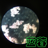 ������������������-������-������������