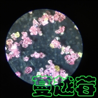 ������������������-������-������������