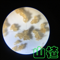 茶叶提取物速溶粉喷雾造粒塔-低温塔-常州永昌制粒