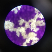 ˮ������ȡ��ѹ������������-������-������������