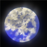 �߲���ȡ�����ܷ�����������-������-������������