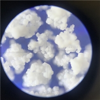 ���׵;�����������������-������-������������