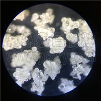 ˮ��ֲ�ﵰ�׷����ܷ��������������-������-������������