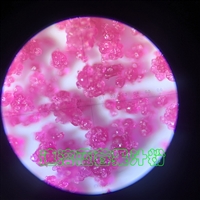 茶叶提取物速溶粉压力喷雾造粒塔-低温塔-常州永昌制粒