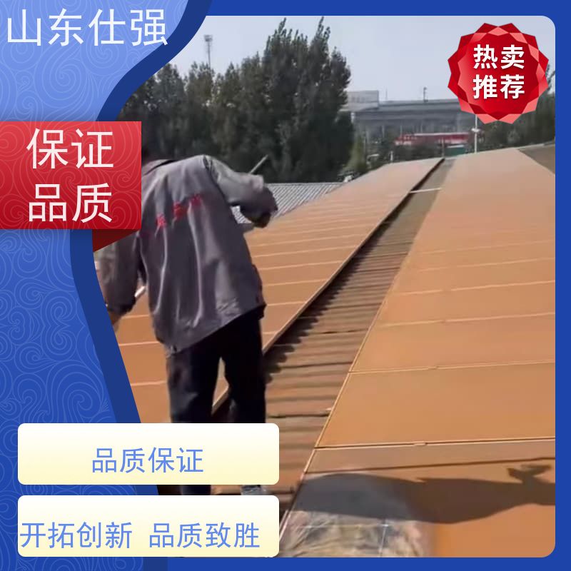 山东仕强 螺纹钢除锈剂 一手货源