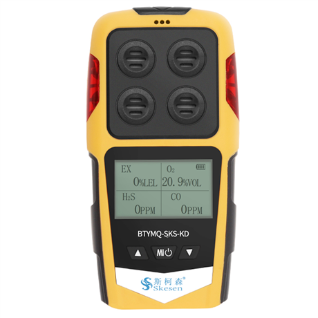 Industrial portable diffusion gas detector