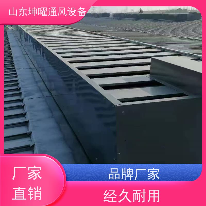 启闭式通风气楼 C2T一字型电动采光排烟天窗 源头厂家