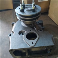 遍达发电机组淡水泵 MD120A/120B淡水泵