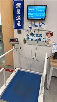 可接电脑透析电子秤