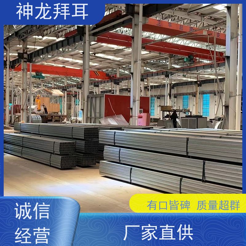 河北神龙拜耳 镀铝镁锌光伏支架 一站式解决方案 价格