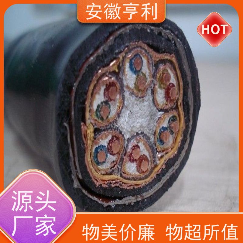 安徽亨利仪表电缆有限公司 15*1.5 品质保证 阻燃控制电缆