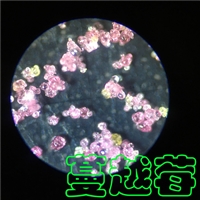 �������ܷ����������-������-������������