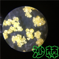 茶叶提取物喷雾制粒机-低温塔-常州永昌制粒