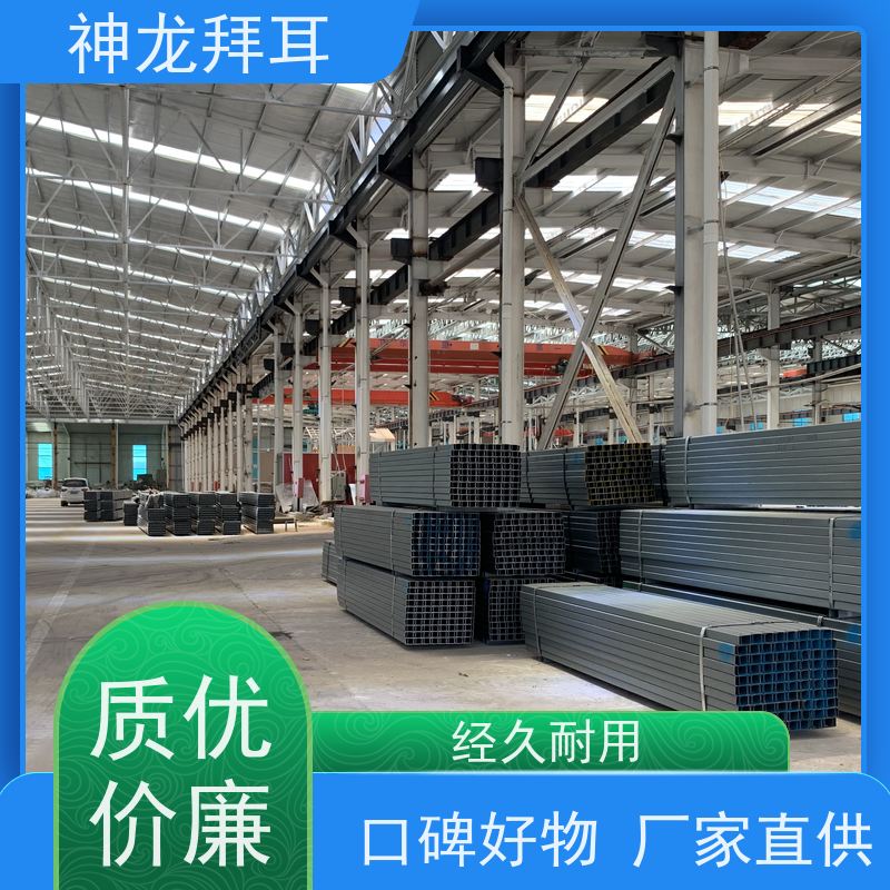 河北神龙拜耳 农业光伏支架 一站式解决方案 厂商