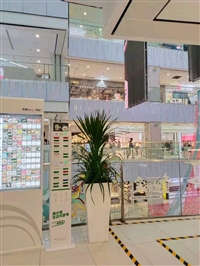 朝阳绿植租摆  办公室绿植租摆