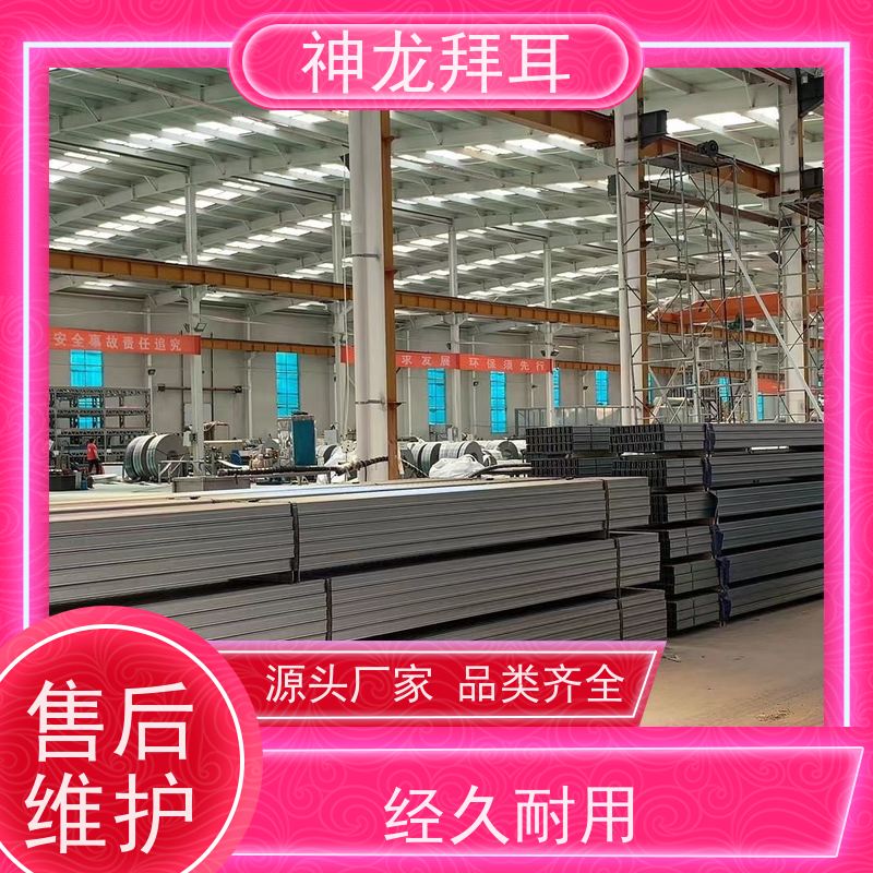 河北神龙拜耳 镀铝镁锌光伏支架多少钱一吨 高效 品牌