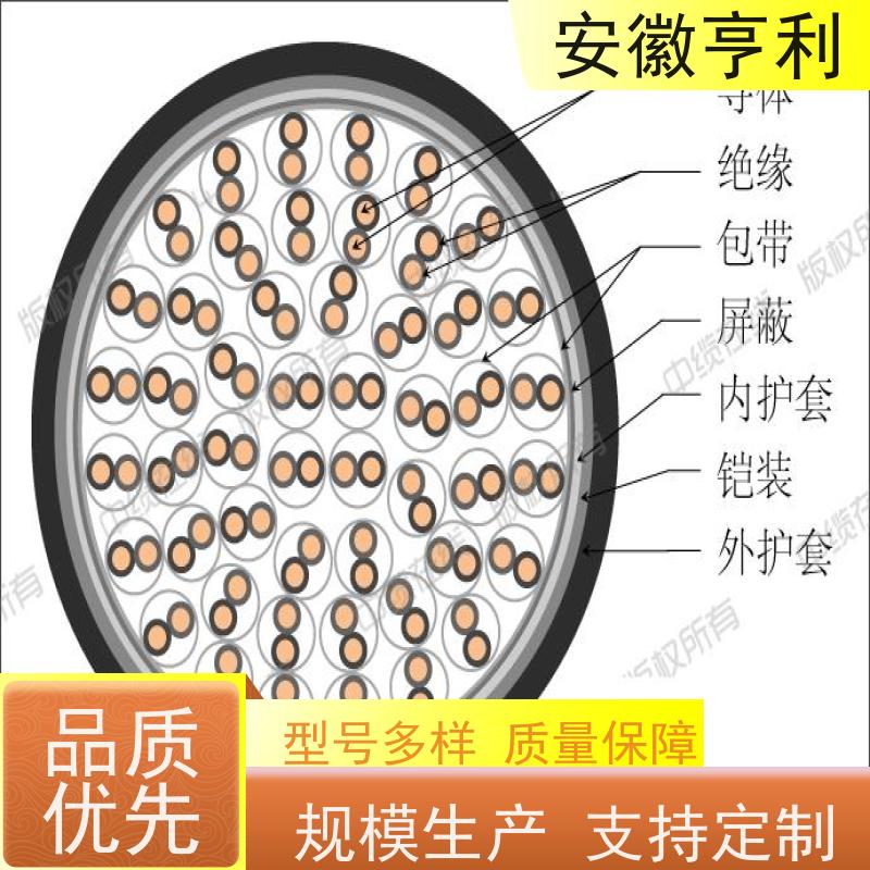 安徽亨利仪表电缆有限公司 11*1.5 品质保证 仪表控制电缆
