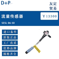 欧洲进口D+P SESL 06-50流量传感器
