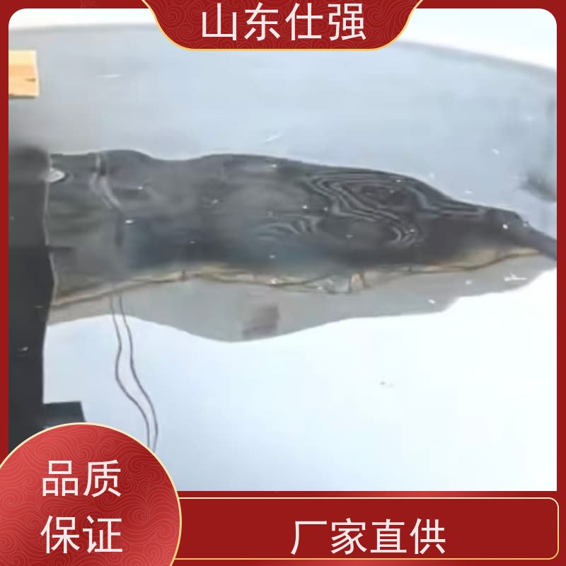 仕强 公司 厂房重油污清洗剂 品质保障