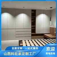 轻奢风衣柜定制_铣型拉手_科旺家全屋定制