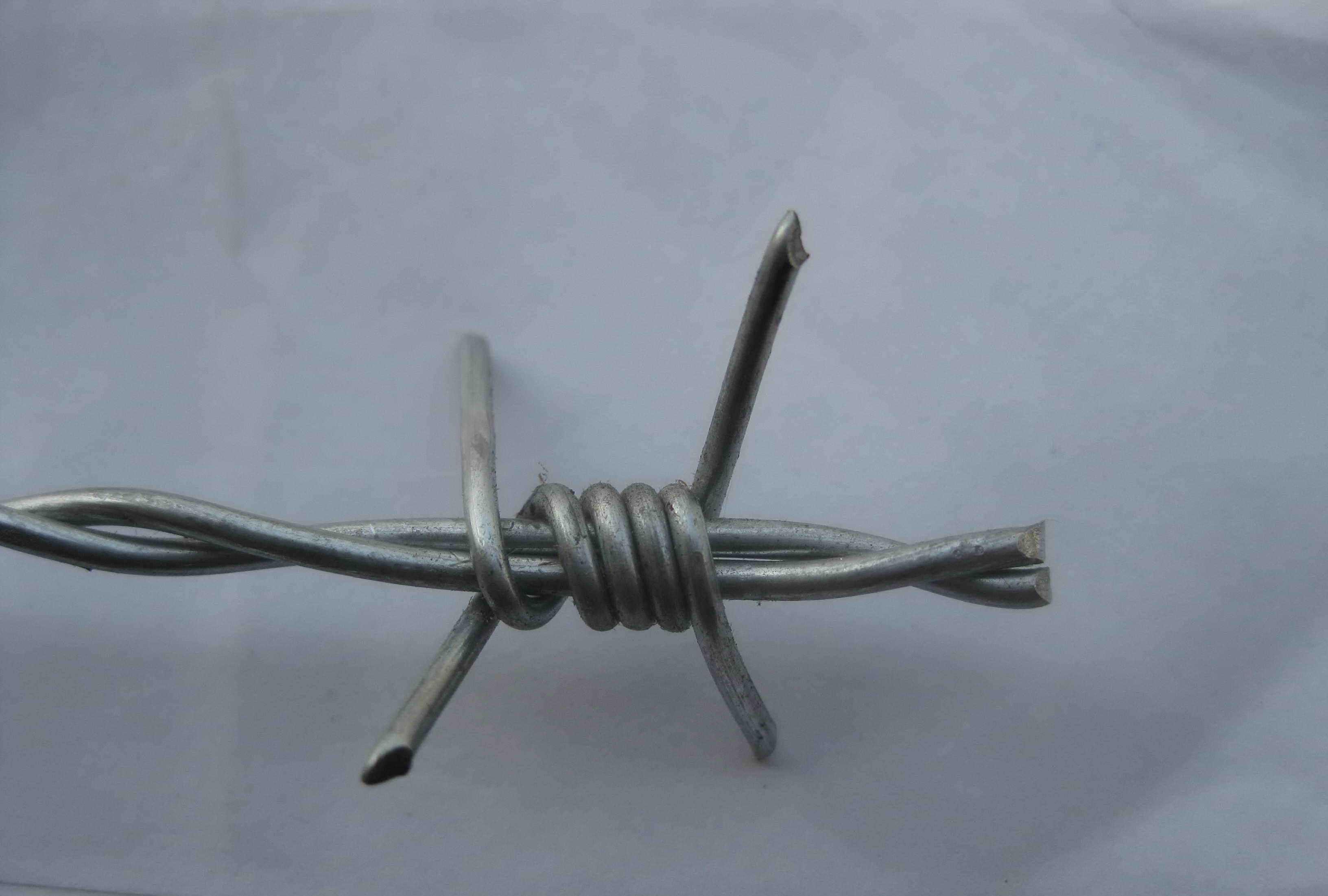 监狱高安全防护刀片刺绳护栏网