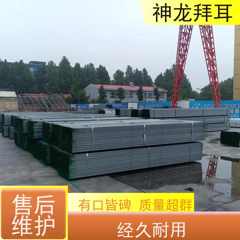 神龙拜耳 生产光伏支架 高效 价格