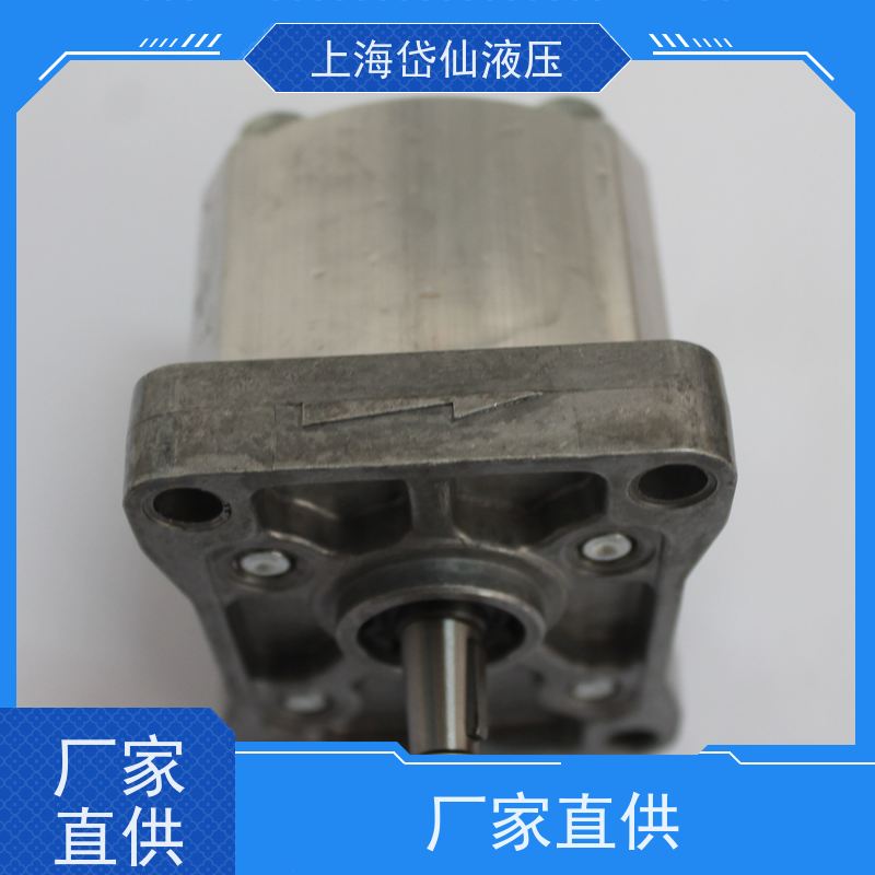 风电专用齿轮泵WP09A1B-110-R-03-BA-121N原装岱仙液压