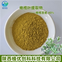 橄榄叶提取物