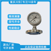 川仪压力表隔膜压力表直径60mmY-M