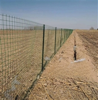 围地护栏网批发 圈地铁丝网生产厂家 围山围树林用围栏网