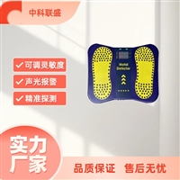 上海监狱鞋内金属安检仪智能报警
