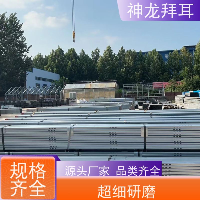 河北神龙拜耳 光伏支架打孔机 个性化定制 厂