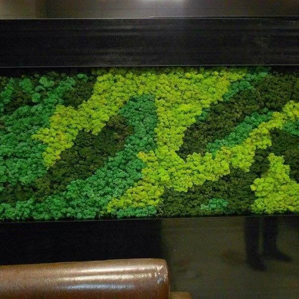 江苏 苔藓地毯  厂家直供