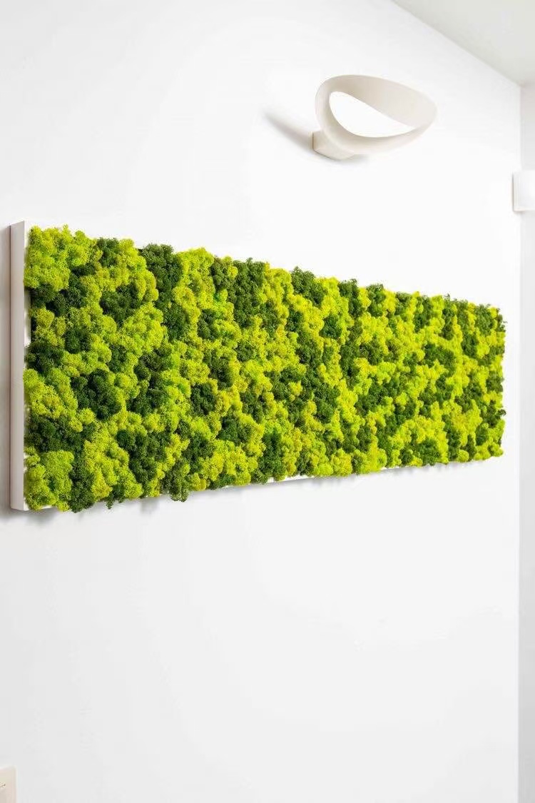 浙江 苔藓地毯  多种规格可定制