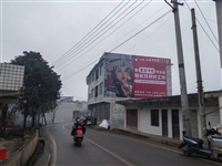 湖北江岸墙体广告厂区写大字感受武汉江夏农村文化墙城镇出入口