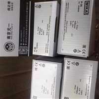 威卡WIKA 传感器P-30 14248352