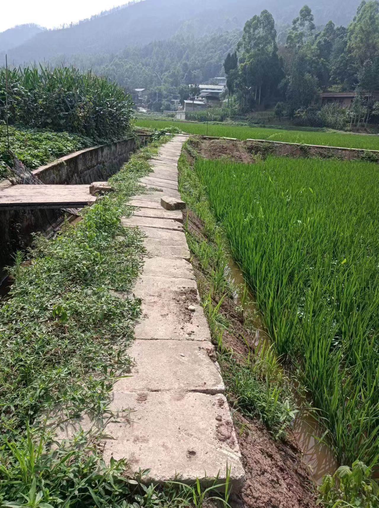 同江市靠谱土地评估公司电话