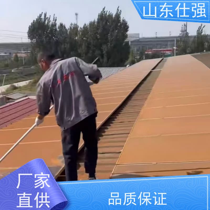 仕强 价格 无铬钝化剂SQ-DN3003 海量库存