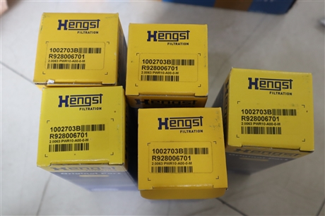 R928006701 2.0063 PWR10-A00-0-M 1002703B HENGST汉格斯特滤芯
