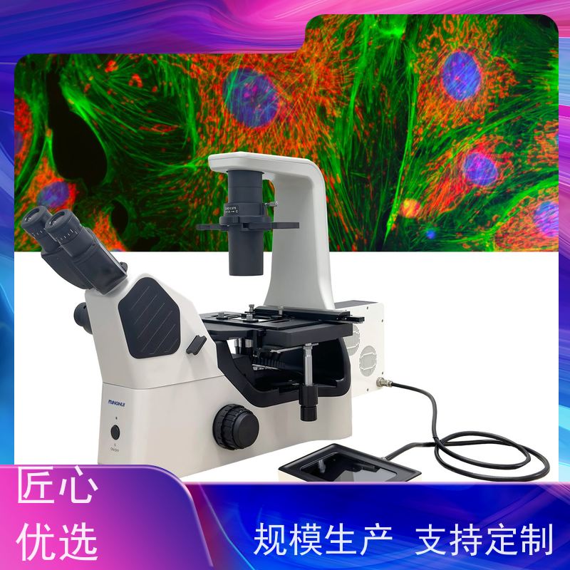 明慧 支持弱光环境下的保持清晰画质 升级成像系统 国产 显微镜荧光
