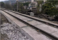 动静两用轨道衡