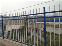 锌钢护栏网 强度高 抗冲击力强 不易变形耐用